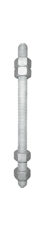 Espárragos